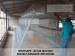 Best battery chicken cage system manufacturers & Supplier for sale