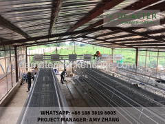 Poultry cages battery cage system manufacturer & supplier