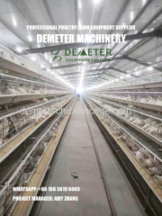 Kenya Nairobi layer chicken cage modern battery bage for poultry farming from China factory