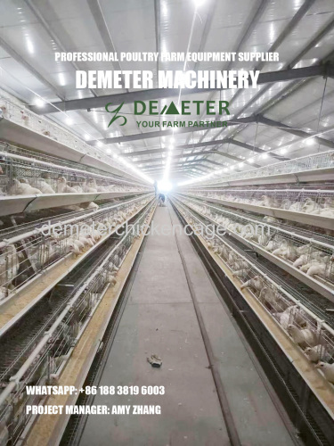 Egg laying chicken cages system price for poultry farming for sale in Abuja Nigeria from factory