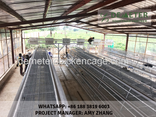 Battery cage for layer automatic layer poultry chicken cage system for poultry farming for sale in Lusaka Zambia