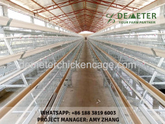 Battery layer chicken cage for automatic layer cage system for sale in Somalia