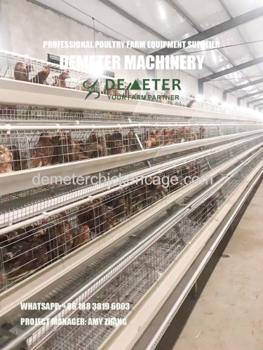 A frame 4 tier layer chicken cage poultry battery cage system for sale in Lagos Nigeria