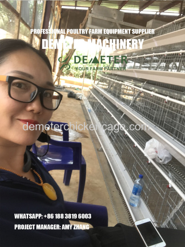 A frame poultry farming layer chicken cages battery cage system for sale in Ibadan Nigeria