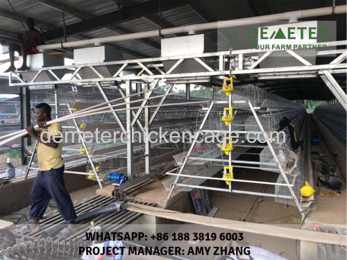 Battery cage for layer automatic layer poultry chicken cage system for poultry farming for sale in Lusaka Zambia