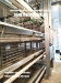 Automatic poultry farming commercial layer chicken cages