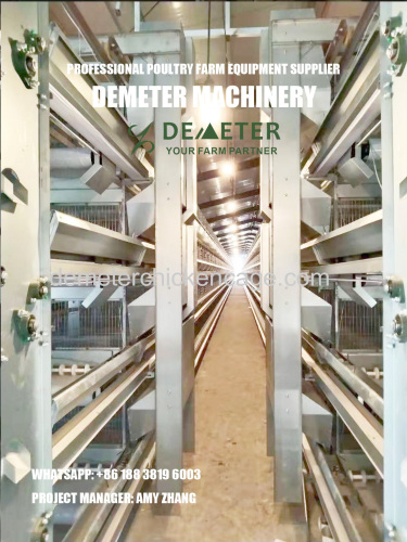 Automatic poultry farming commercial layer chicken cages