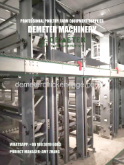 Poultry farming automatic layer chicken cage system