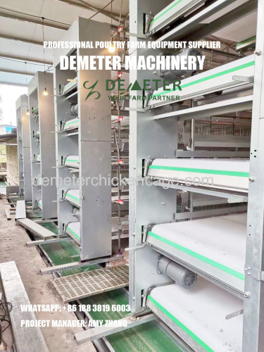 Automatic baby layer chicken cage system battery cage system