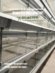 Automatic baby layer chicken cage system battery cage system