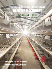 Pullet chicken cage automatic chicken cage battery cage livestock