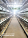 H-type broiler chicken cage for modern poultry farming automatic chicken cage