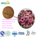 Echinacea Extract Powder Polyphenol 4% Chicoric Acid 2.5%