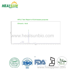 Echinacea Extract Powder Polyphenol 4% Chicoric Acid 2.5%