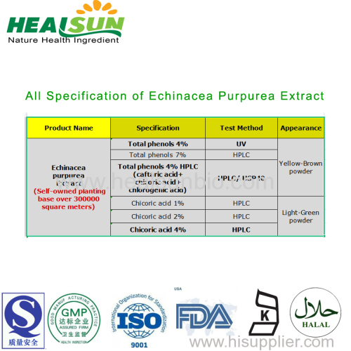 Echinacea Extract Powder Polyphenol 4% Chicoric Acid 2.5%
