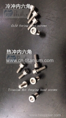 Titanium hot forging screws DIN912 ISO7380 best qulity made in China manufactor 100%test