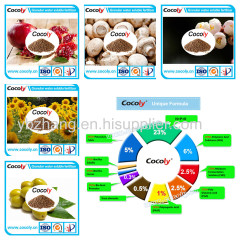 Chinese factory cocoly granular water soluble fertilizer