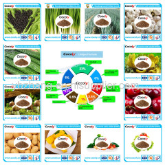 Chinese factory cocoly granular water soluble fertilizer