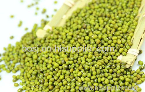 Feature of Mung Bean