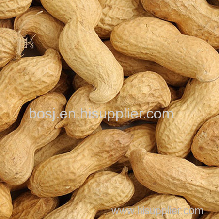 The producing area of Chinese peanut