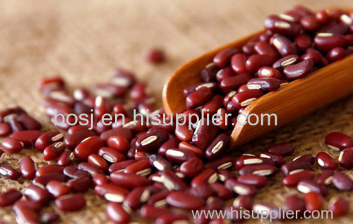 Phaseolus Calcaratus/Red Phaseolus Beans