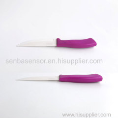 4.5 Inch Ceramic Steak Knife