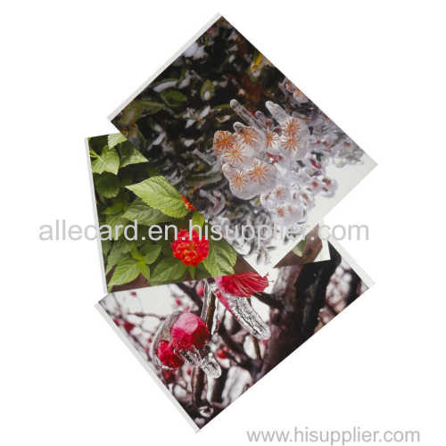 A4 Inkjet Printable PVC Plastic Sheet 0.3mm thick