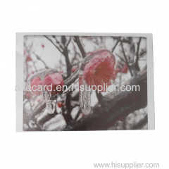 Clear Card Printing Plastic PVC A4 Sheet Laminating for Inkjet Printing