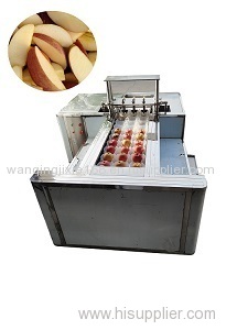 Apple pitting and cutting machine