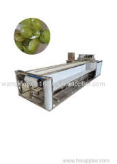 Semi automatic grape cutting machine