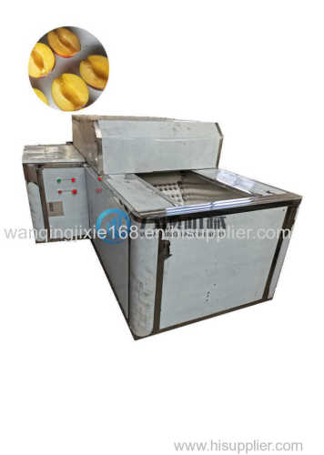 Automatic Prune Pitting machine