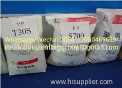 PP Homopolymer /Random Copolymer PP Polypropylene Resin V0 Extrusion PP of Resin