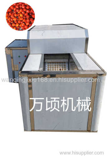 Automatic cherry pitting machine