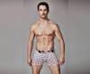 Men's Organic Boxer Briefs