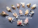 Cheap Beautiful Bride Corsages Customized Preserved Flowers Wedding Decorations