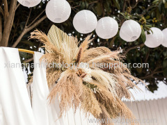 Wedding Decorations wedding backdrop Pampas grass wedding arch Decorative flowers