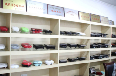 Ningbo Salon Electrical Appliances Co., Ltd.