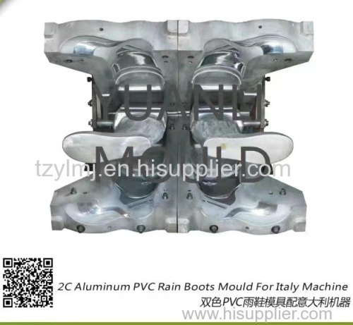2C Aluminum PVC Rain Boots Mould For Italy Machine