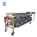 Cherry /olive/date pitting processing line price / fruit and vegetable sorting machine fruit sorter