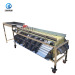 Cherry /olive/date pitting processing line price / fruit and vegetable sorting machine fruit sorter