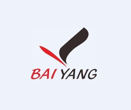 Dongguan Baiyang Industrial Co., Ltd.