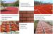 Iron Oxide Brown for Paint Tile Brick Cement Wall Coating