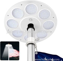 Solar Flag Pole Light