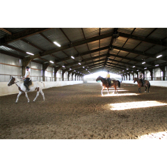 steel structure hall horse barns indoor riding arenas