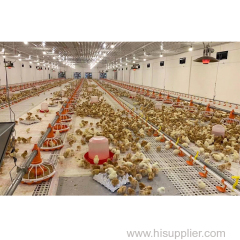 Prefabricated Steel Structure Chicken Broiler House Poultry Farm Shed Building