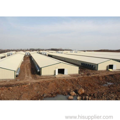 chicken farm controlled shed poultry farming