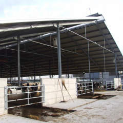 low cost modern light prefab barn house dairy cow shed cattle building