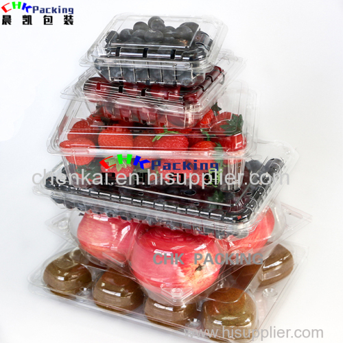Customized Plastic Vegetable Lettcue Fruit Clamshell