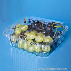PLA Pet Material Customized Fruit Plastic Punnets