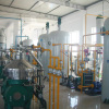 Physical Continuous Type Edible Oil Refinery Plant